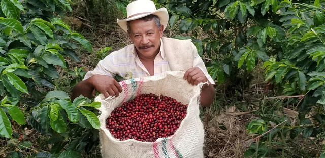 Working Coffee Farm